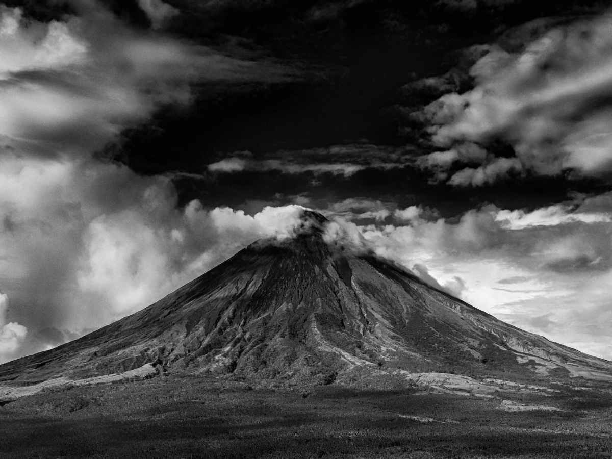 Love Letter to the&nbsp;Estranged