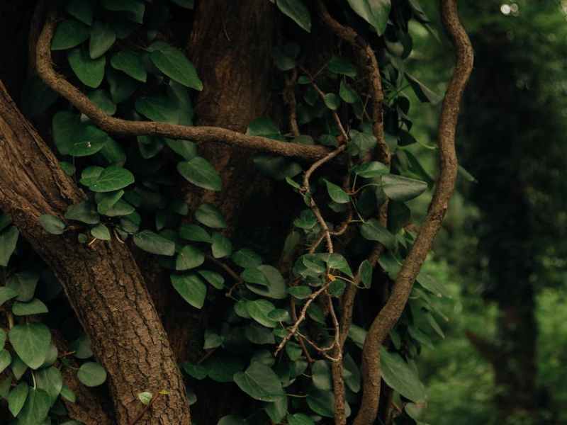 This is a poem done&nbsp;differently—