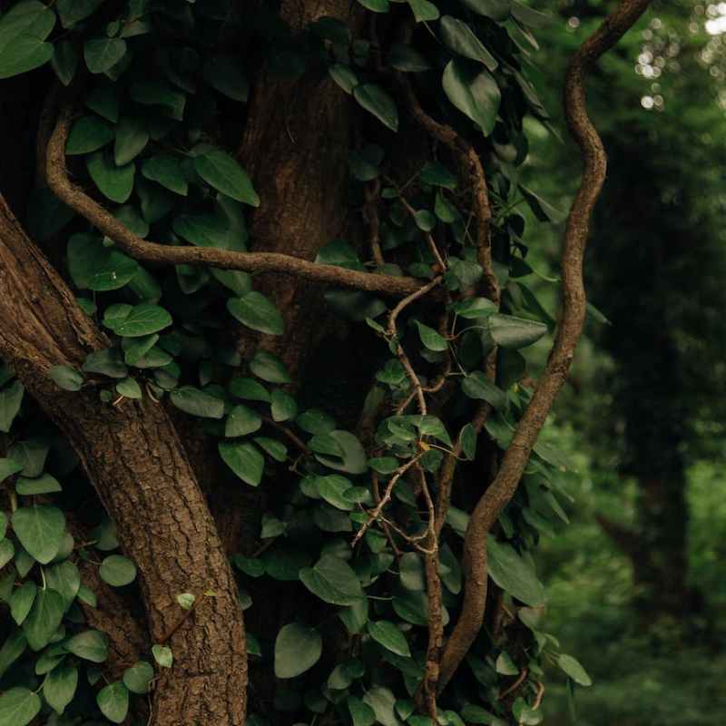 This is a poem done&nbsp;differently—